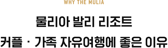 ¹°¸®¾Æ ¹ß¸® Ä¿Çà °¡Á· ÀÚÀ¯¿©Çà¿¡ ÁÁÀº ÀÌÀ¯