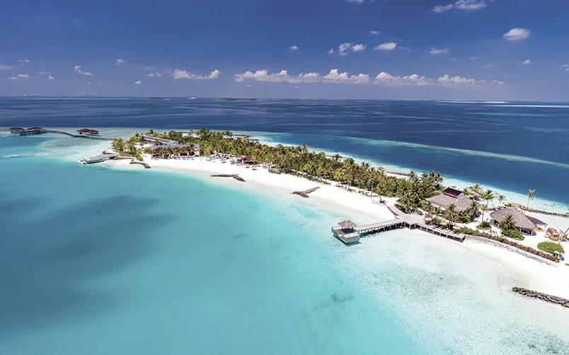 ¿Àºí·ç ·Îºñ±æ¸®