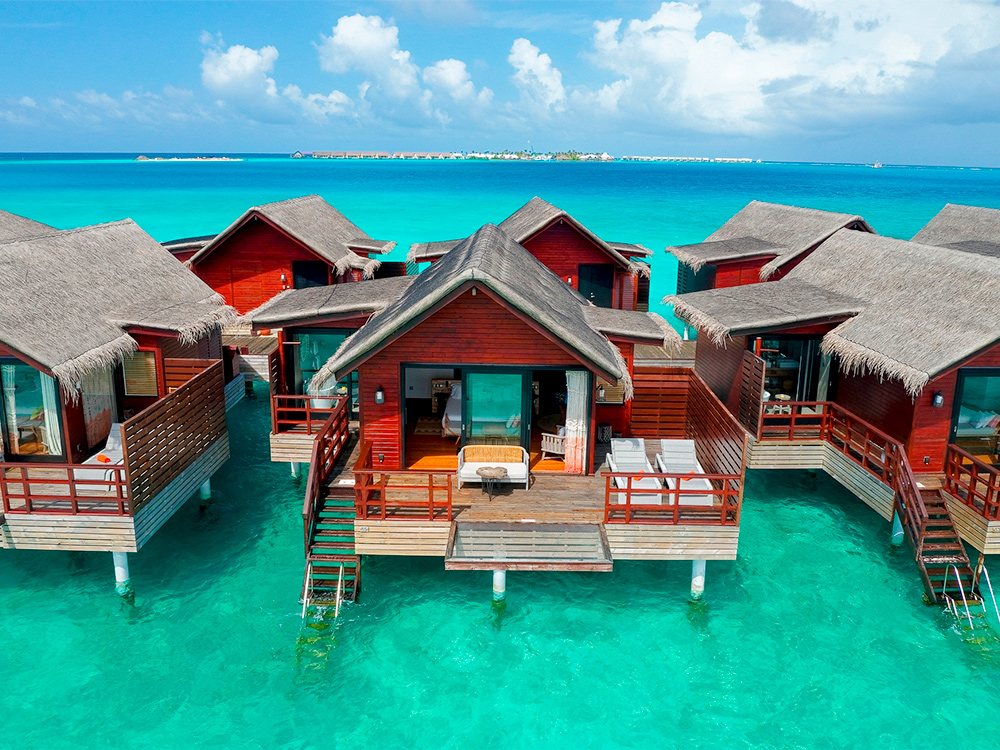 ���� �̹���