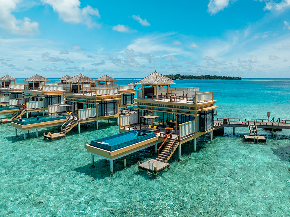 ���� �̹���